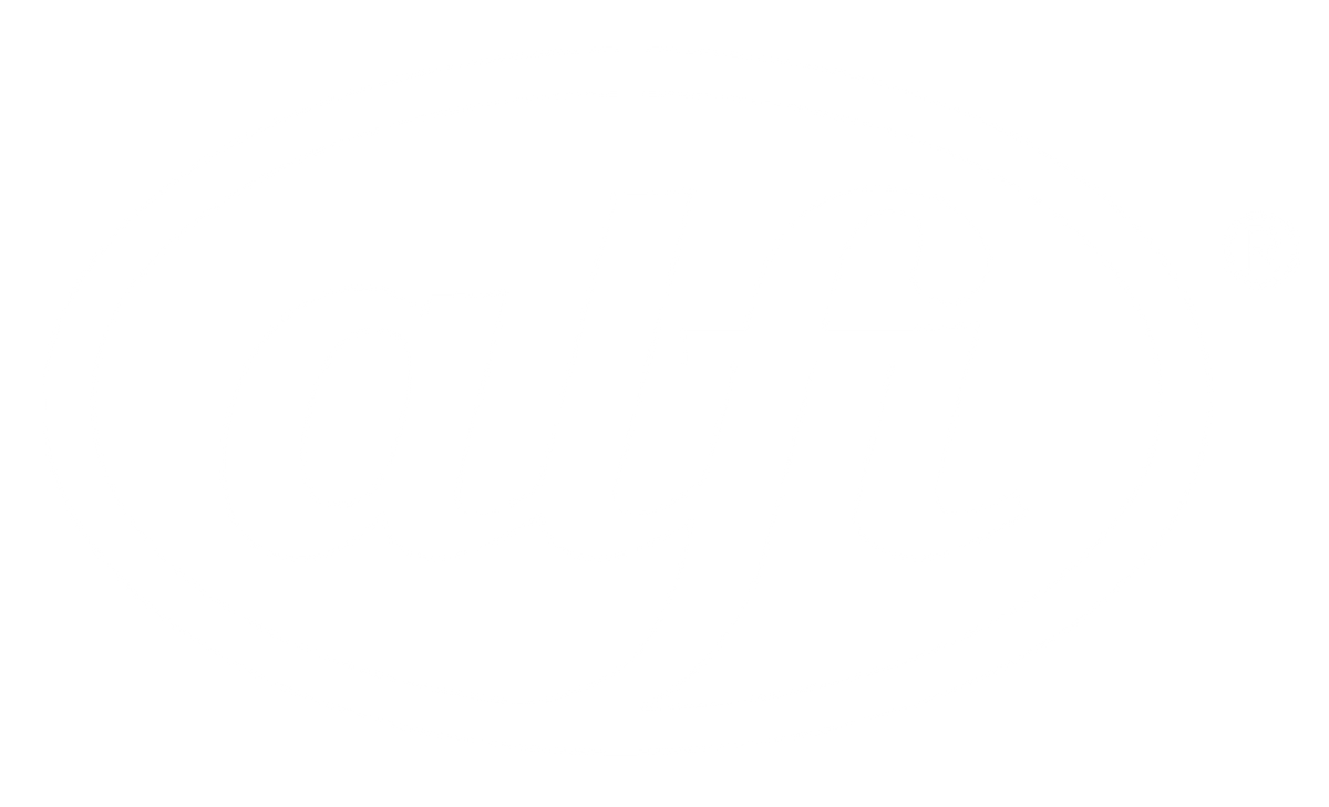alfi Logo in weiss